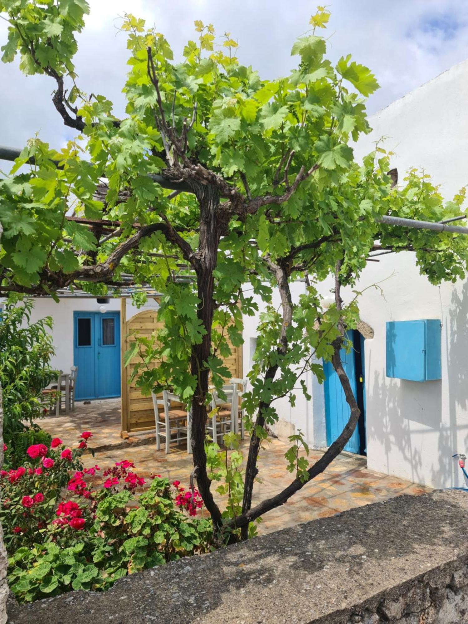 Kamaraki Aroniadika Apartment Kythira Town Ngoại thất bức ảnh